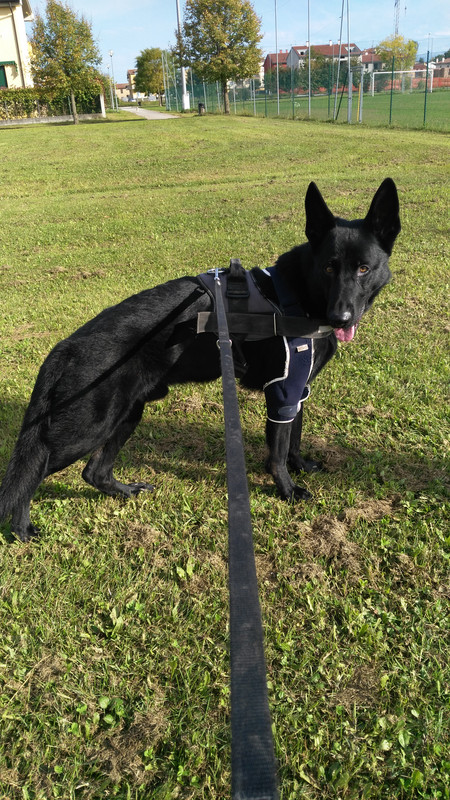 G - 6 ottobre 2017 (2)