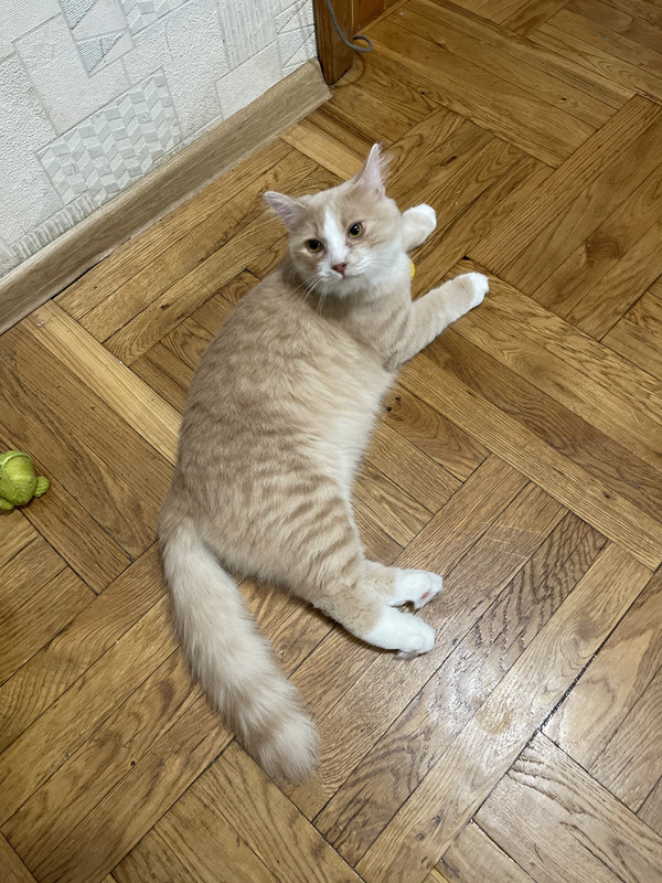 FB615ABF-9DA6-43DC-B3C6-A3E6E75CB1E3