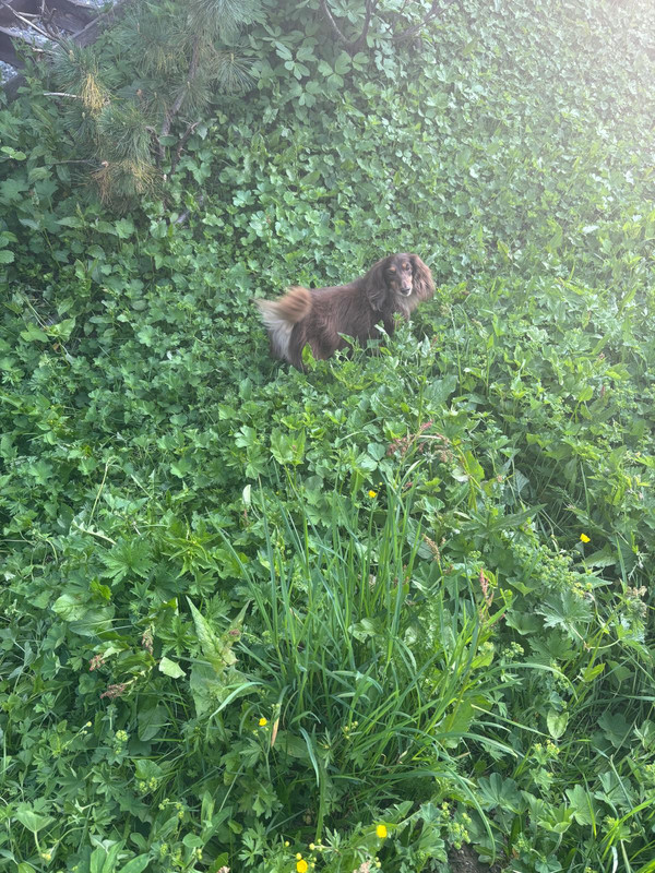 [Image: IMG-20250612-WA0042.jpg]