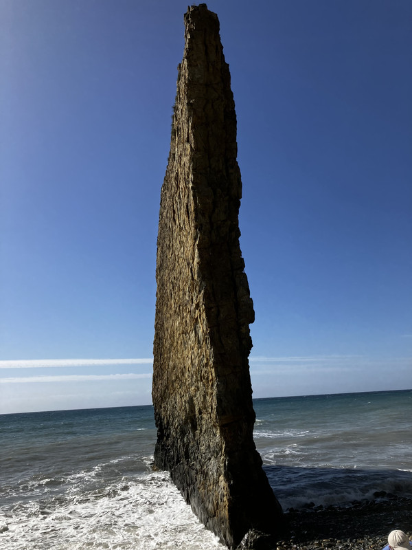 IMG-1938.jpg