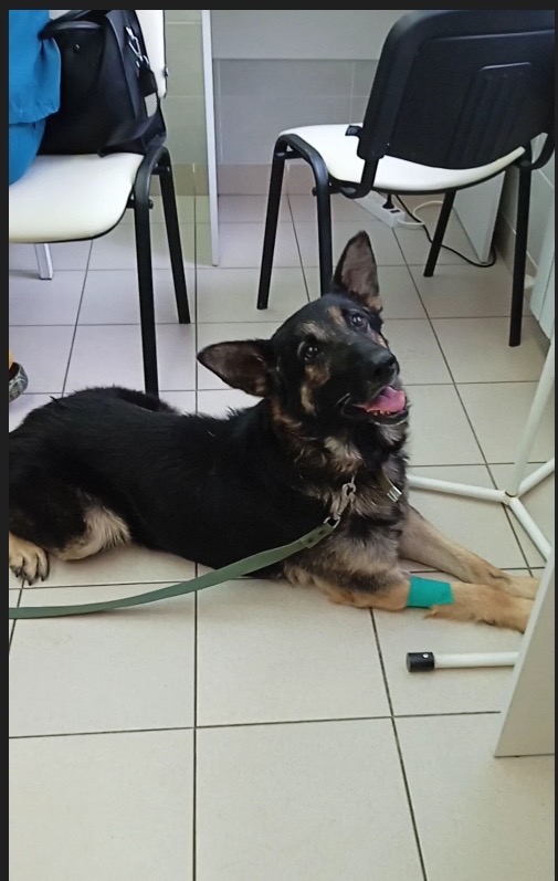 112FC365-93F8-4C39-996A-5458BE5FC49D