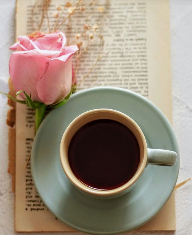 Screenshot_20240715_141208_Pinterest