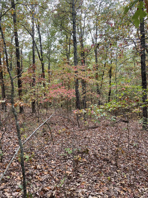 🌟 Seize Your Slice of Serenity near Turkey Mountain Golf Course - 0.7 Acres of Pure Potential Await in Izard County, Arkansas! 🌳🏞️