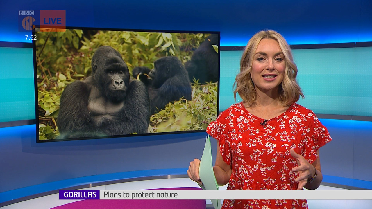 Newsround_20220629_07450800.ts_snapshot_08.14.153