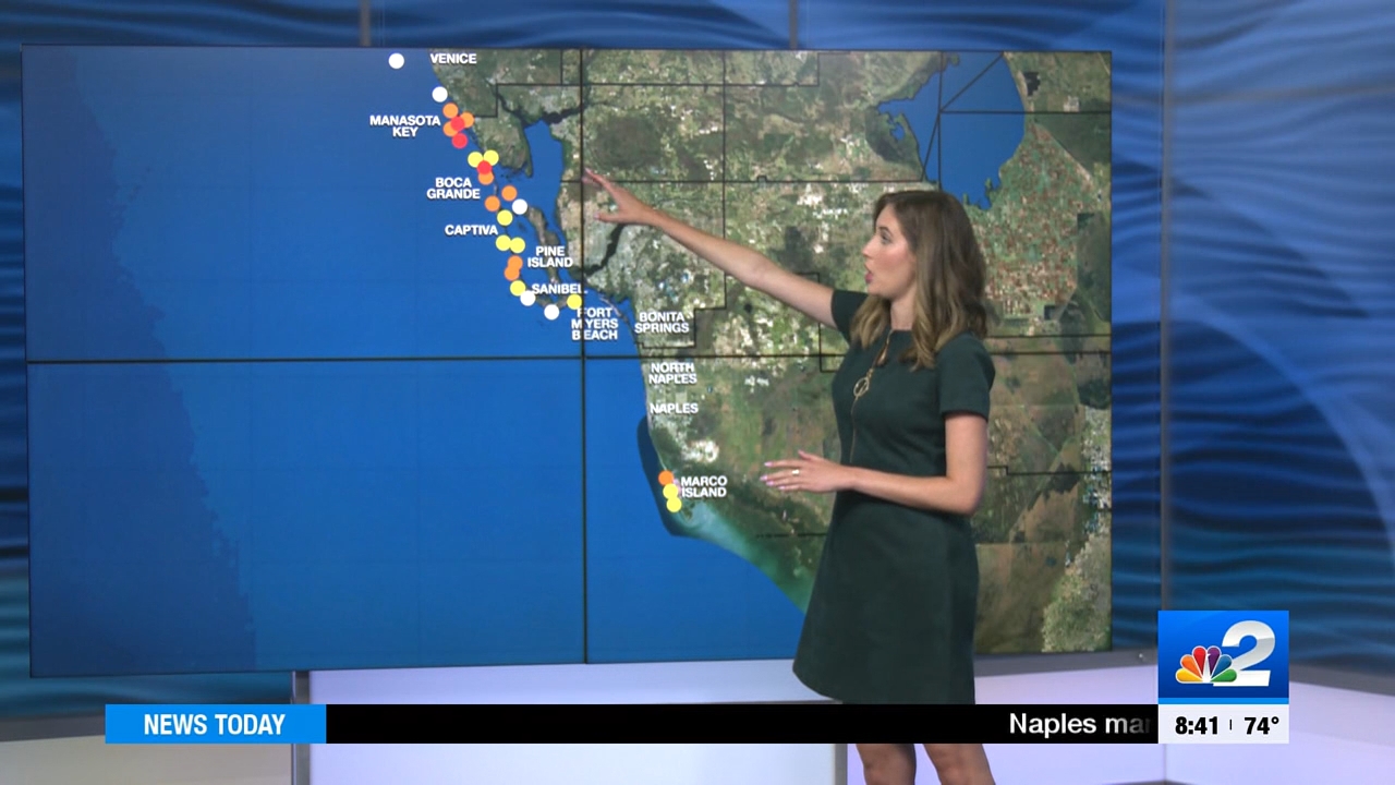 04.08 - 13.30.00 - NBC 2 News Today - Saturday  ᴺᵉʷ..ts_snapshot_00.17.26.300