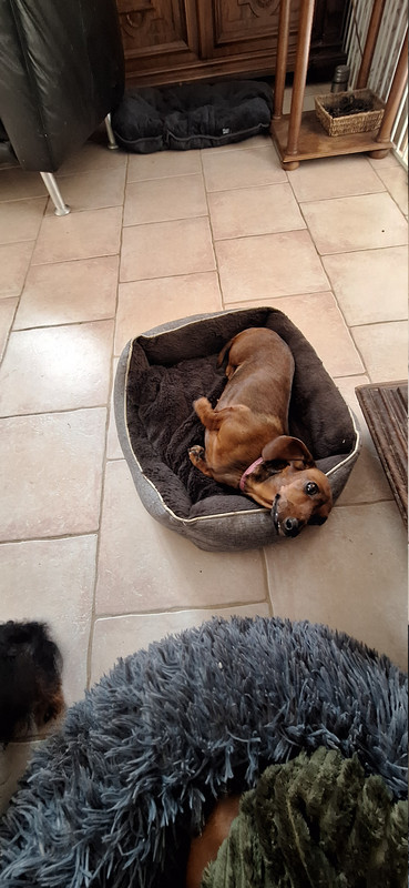 [Image: 20251126-123655.jpg]