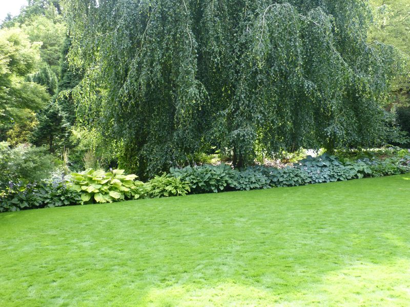 2014-07-13 Arboretum Härle 31