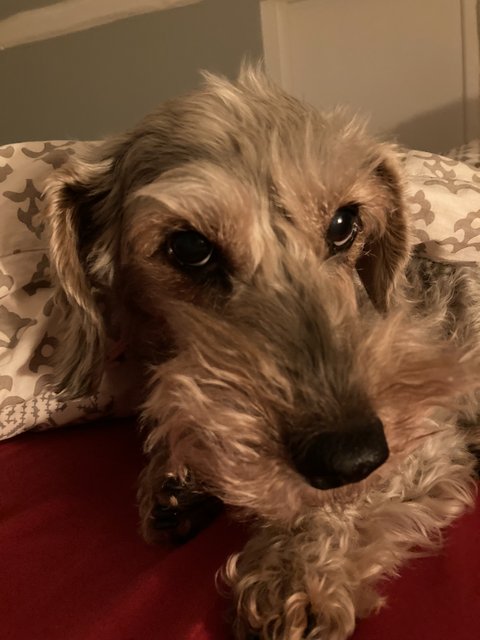 [Image: 7-E1-D7-DD6-6-D28-4695-9481-29-F199-CF760-A.jpg]