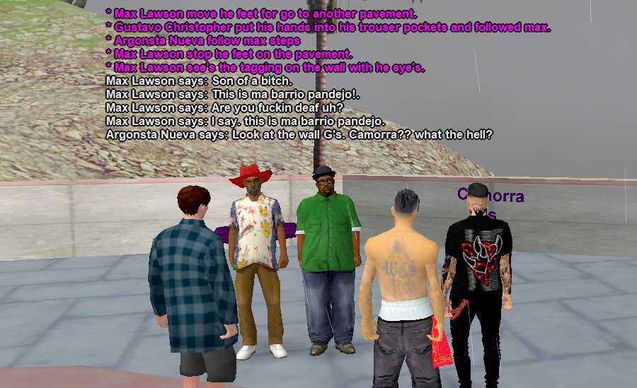 camora1.png