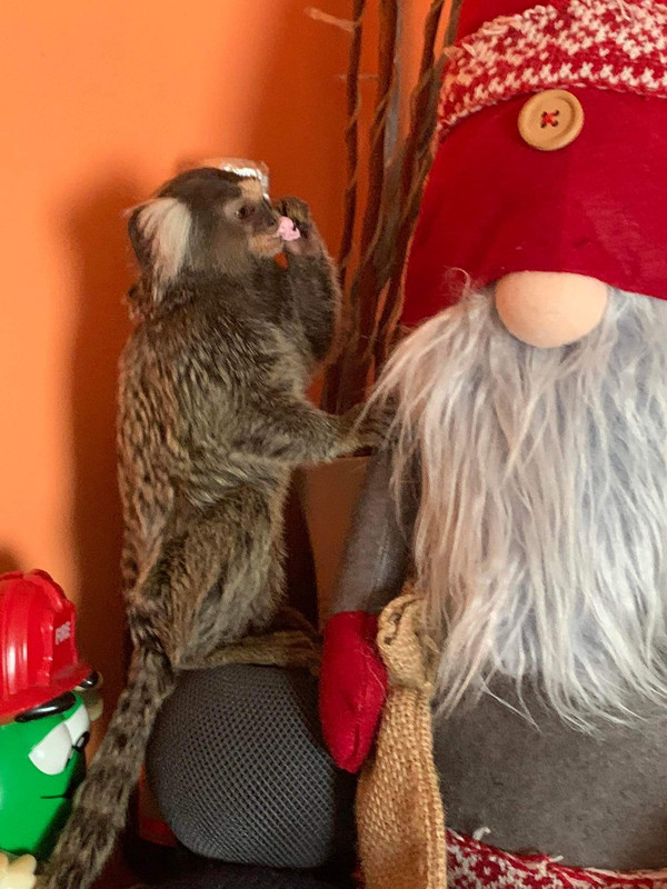 F9E8DC79-E85B-4921-BC8B-747922530C38