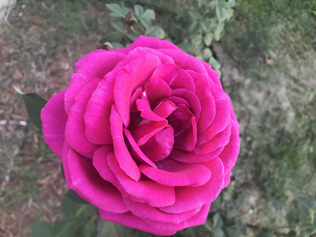 3F2B31D2-5949-4FA5-BC29-A59A0D8BFA5A