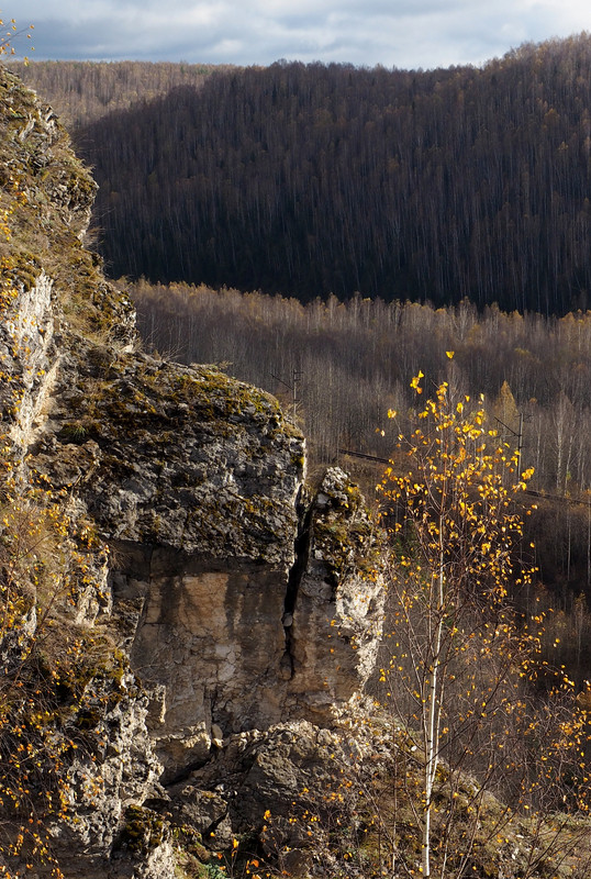 PA061926.jpg
