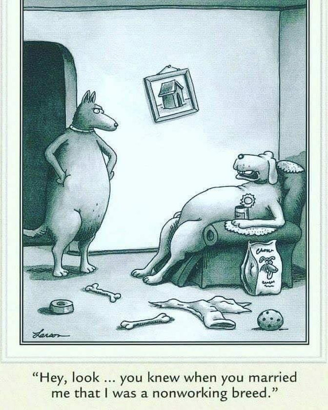 993-EBC1-C-5-A90-4019-9-D21-08-E019-A889