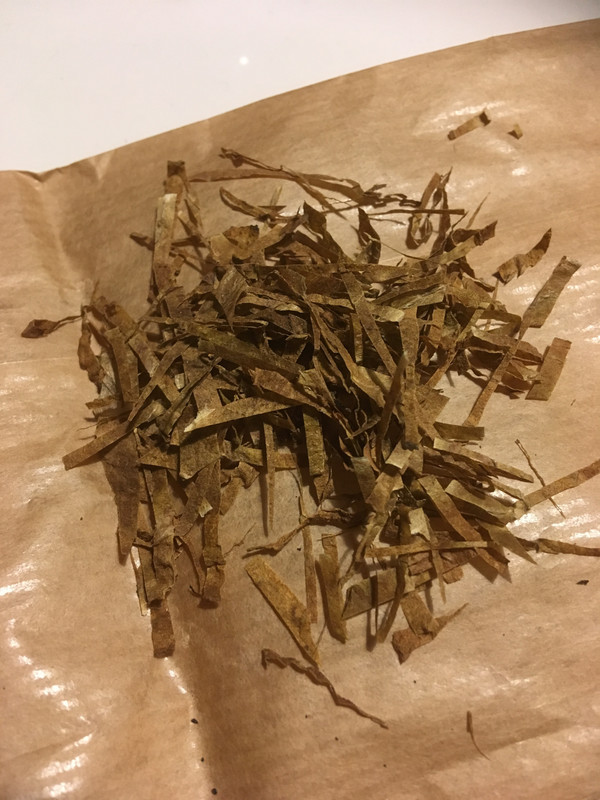 02E5D536-66A6-4D73-8CF2-4B4190A80760