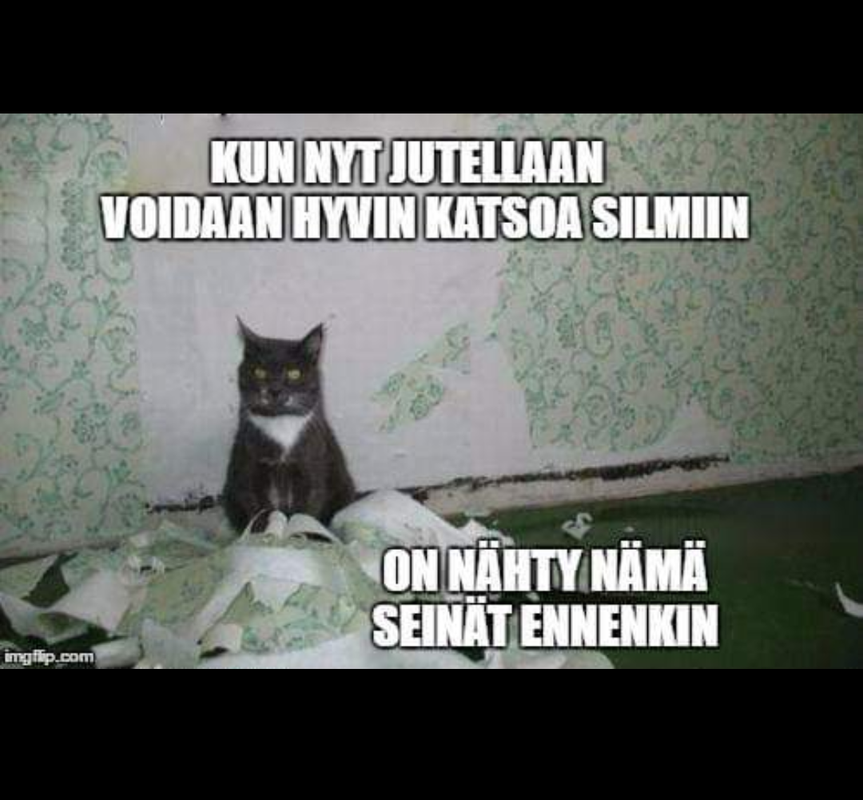 IMG_20200704_184050 (1)