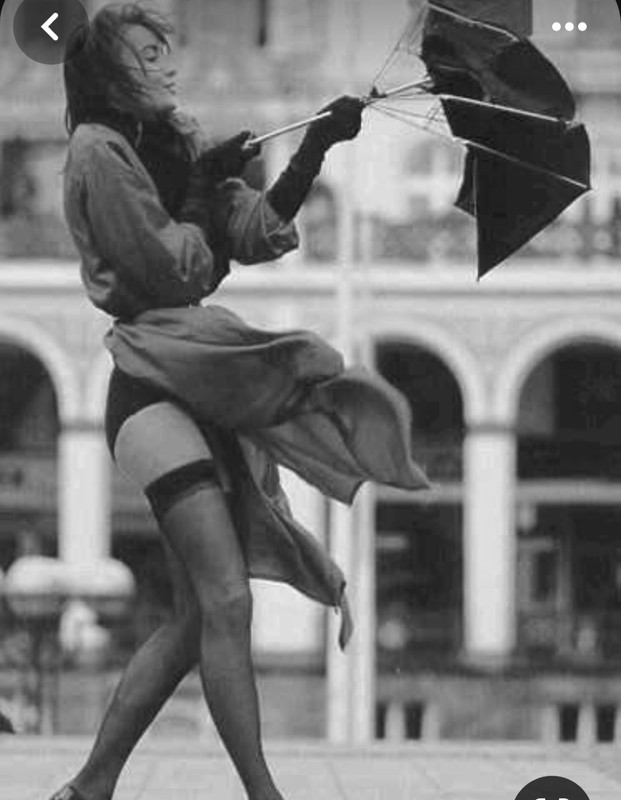 Screenshot_20231120_201110_Pinterest