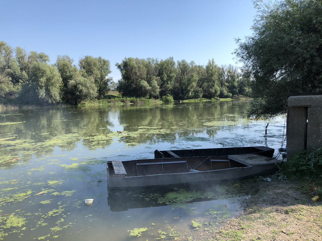 D077F11B-A98C-4712-A919-4A28FC1B0F1D