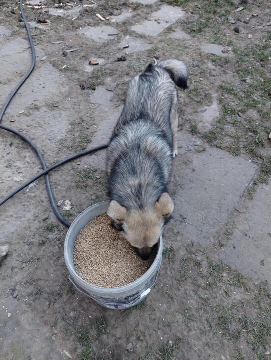 IMG 20251227 093813693