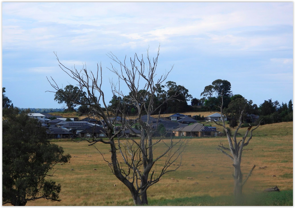 Screen Shot 12 21 25 at 09 57 AM 001