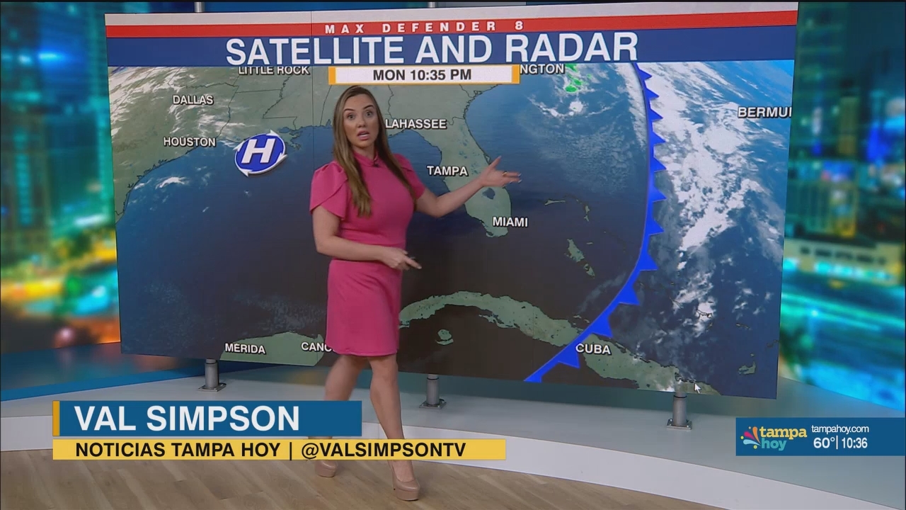 Noticias Tampa Hoy_20250318_02300300.ts_snapshot_07.51.009