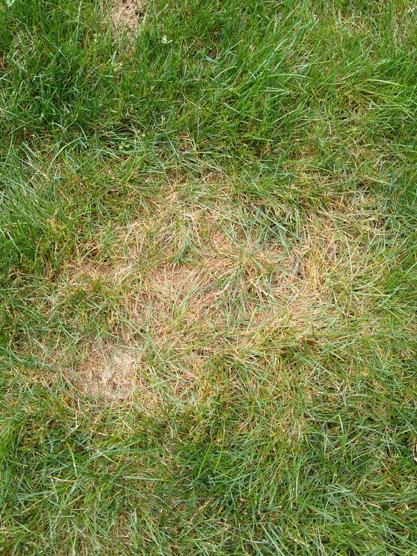 IMG_20210804_164622489