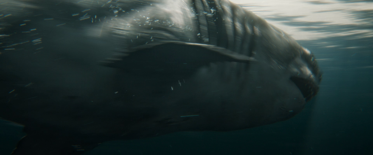 vlcsnap-2023-08-25-03h40m10s985