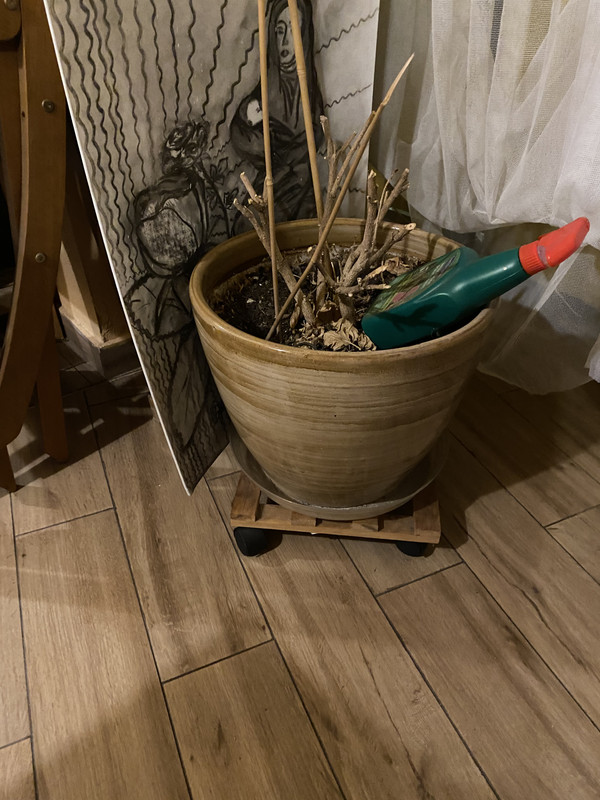 B3652DE7-2216-4758-B59A-8BD68D77CE62