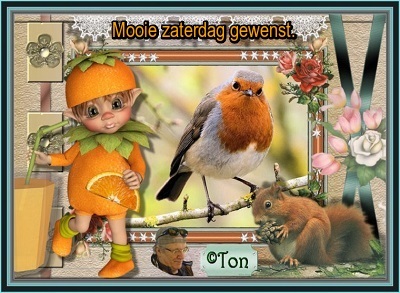 www.krabbelplaatjes.com