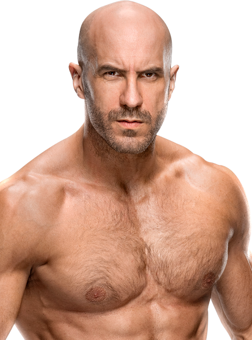 Claudio Castagnoli