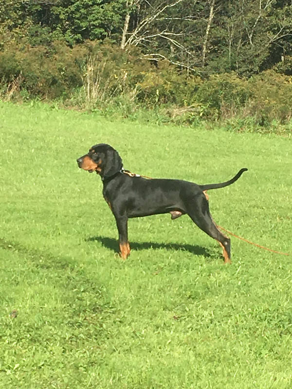 A31A359C-A0DC-4417-A7B7-416364DD2BF2