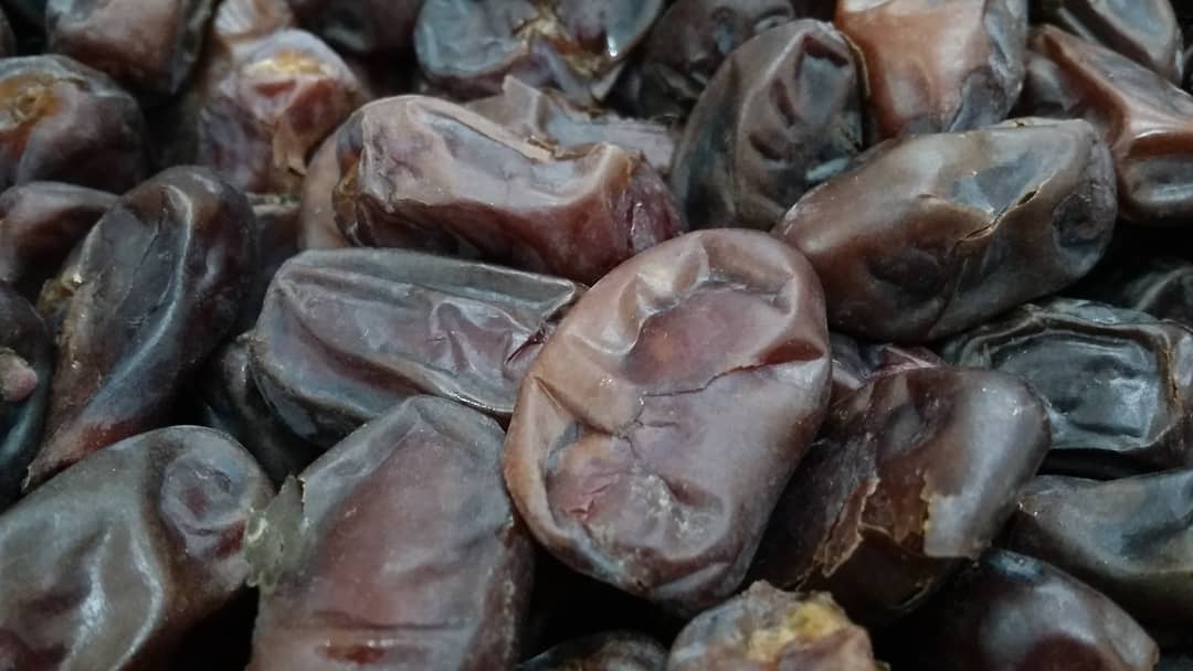 Kurma Khidri