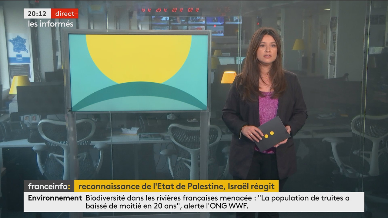 Les informés du soir (Franceinfo)_2024_05_22_19_03_00.ts_snapshot_09.23.244