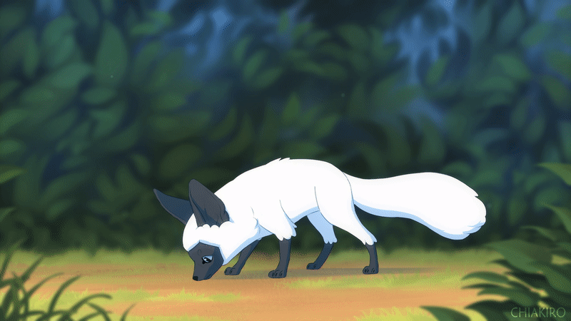 068e6d3c8c4ef3aa11077a32971b5061.gif