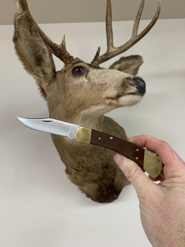 30593B29-9FCF-4A3D-9F1A-D780F2414380