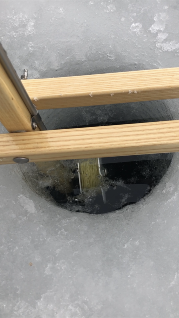 E9440B21-FA49-4463-BF00-3C9FA02AB1E9