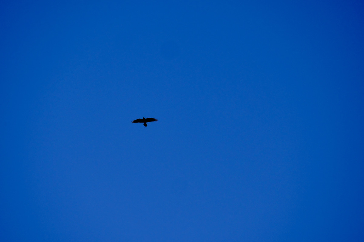 5C386EC4-69DC-4EC9-B0F0-334F72198BA2