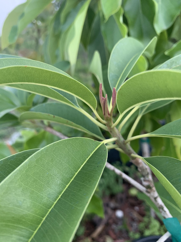 0B5CA1F3-84D5-4D7D-A34B-6D64D944B74D