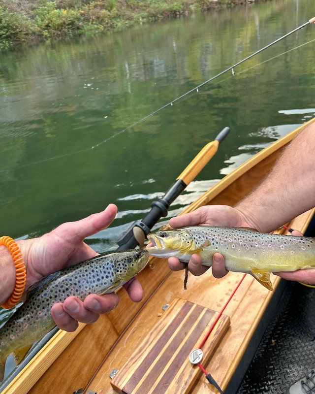 C20E95BA-5441-4237-BB20-E13DB78FF10D