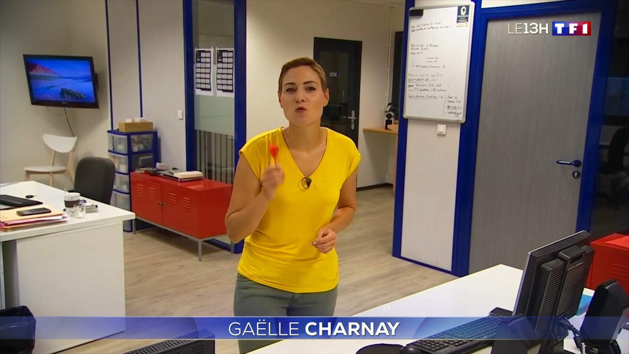 2020-09-22_13_00_TF1_Le-13h.mp4_snapshot_00.25.12.886