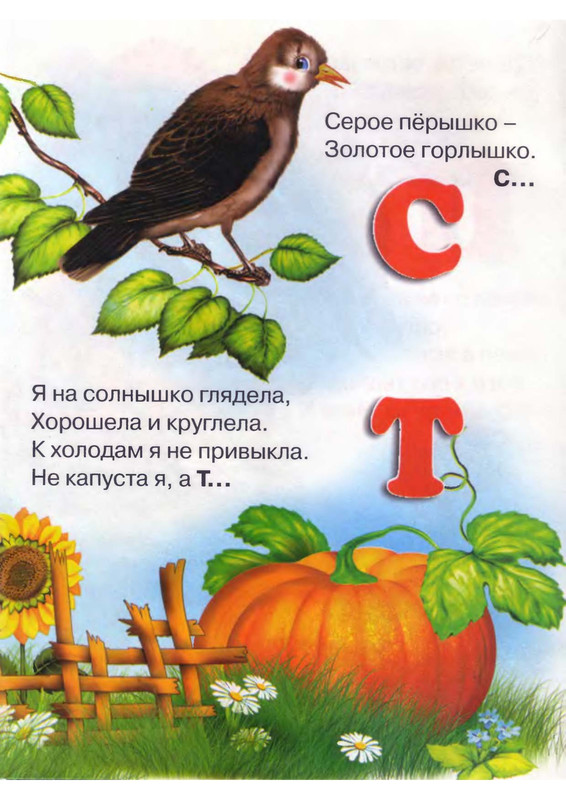 Stepanov-Vladimir-Koshkiny-zagadki-ot-A-do-Ja-page-0011