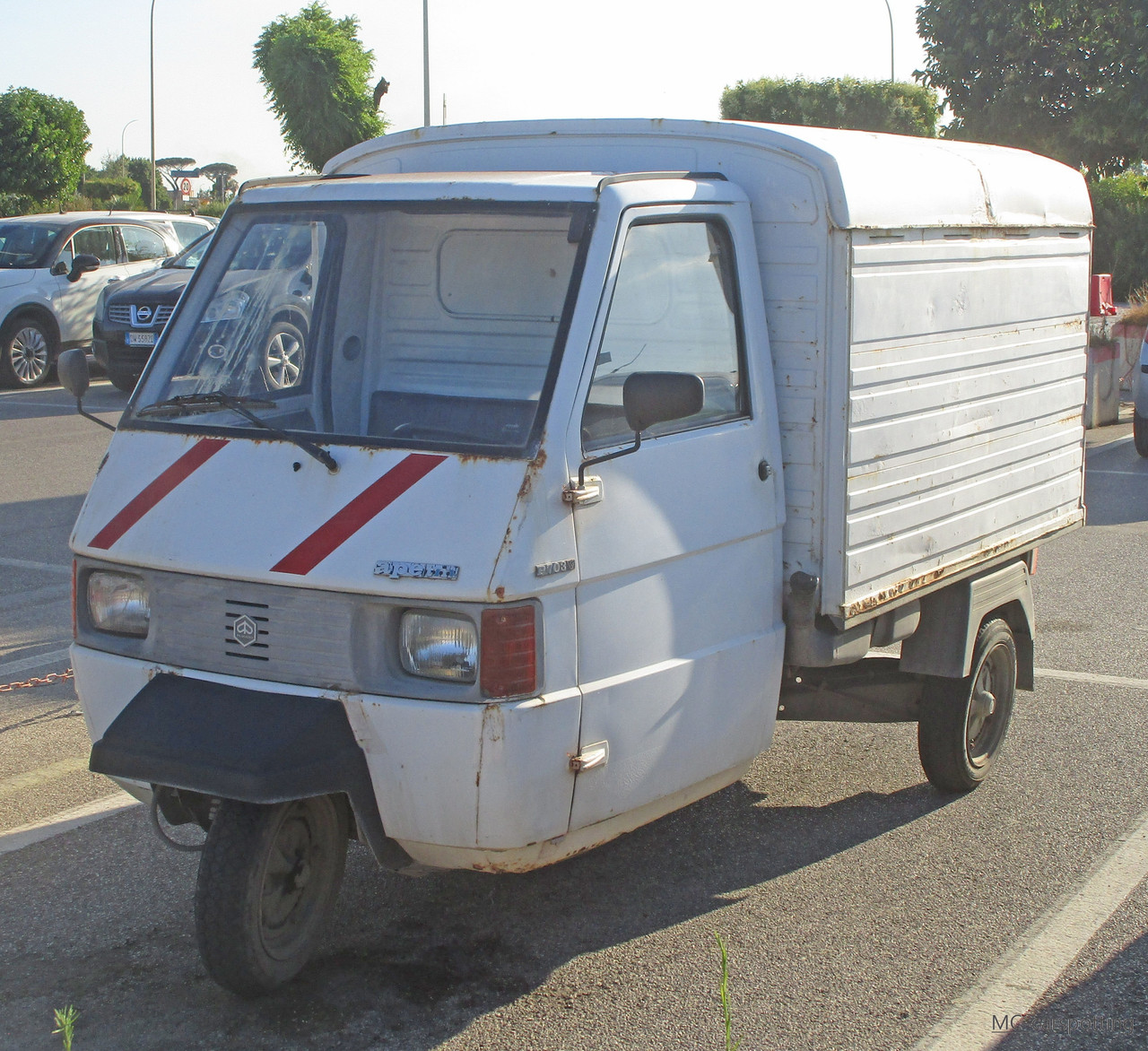 IMG-8560.jpg