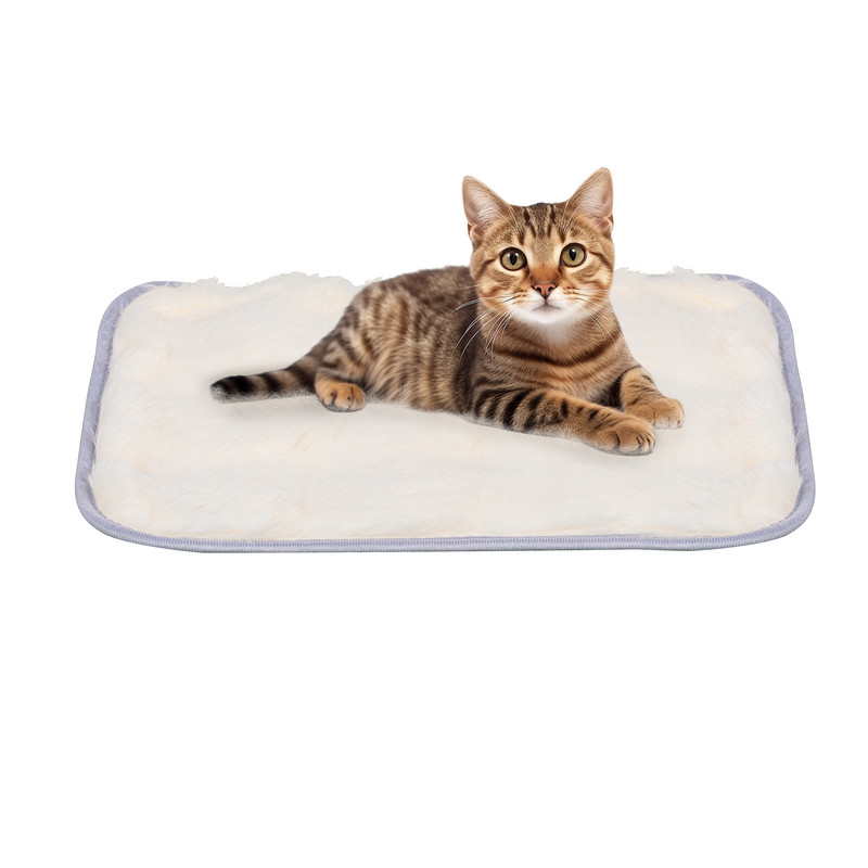 2039ba78abeb71be1ed398a0a9ecb58d