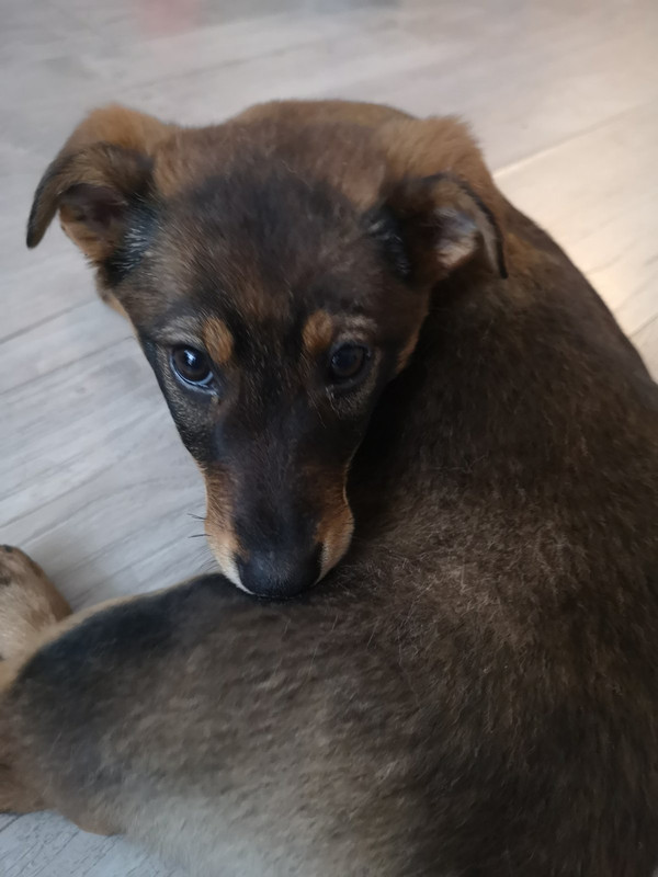 IMG-2ac373357a4805e6fe7bd2b1c1e00e66-V