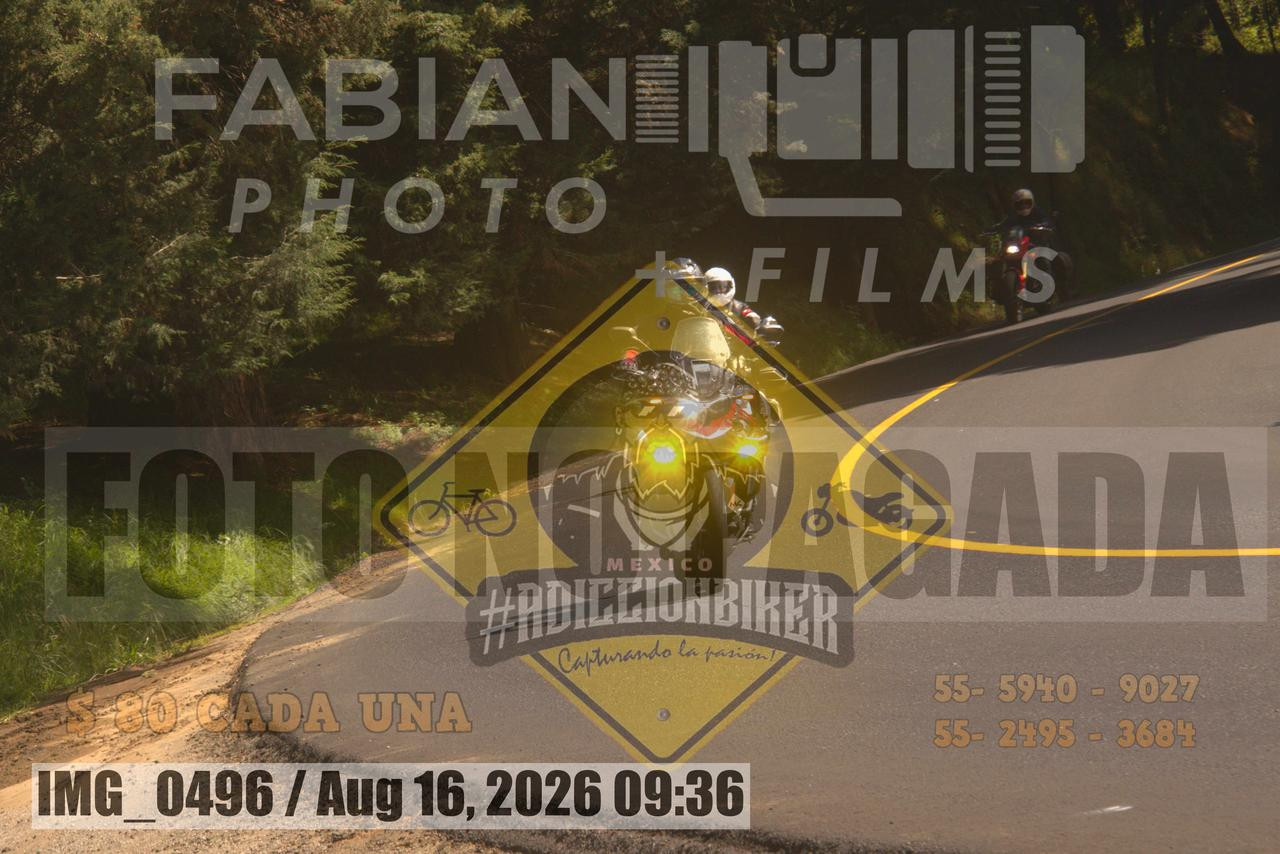 IMG 0496