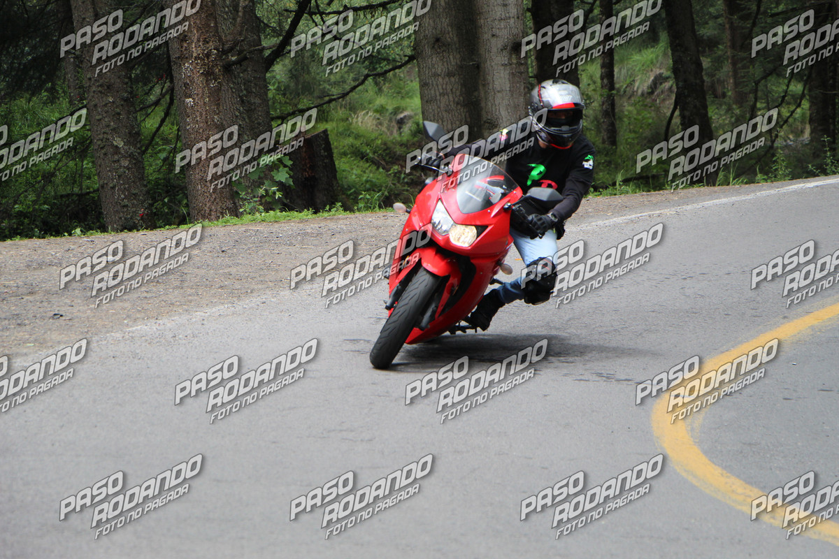 IMG 8267 wm 3307047 8 watermarked — Postimages