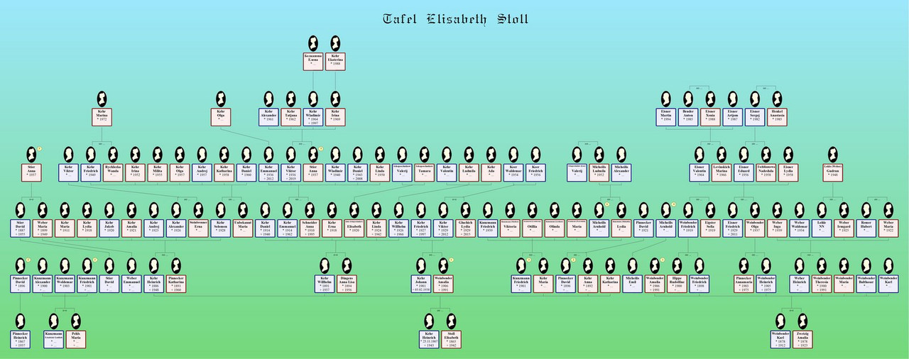 Stoll Elisabeth