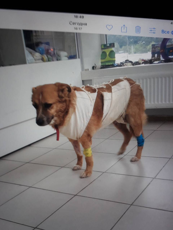 48F487B1-89B9-4150-B92C-5824BF18828D