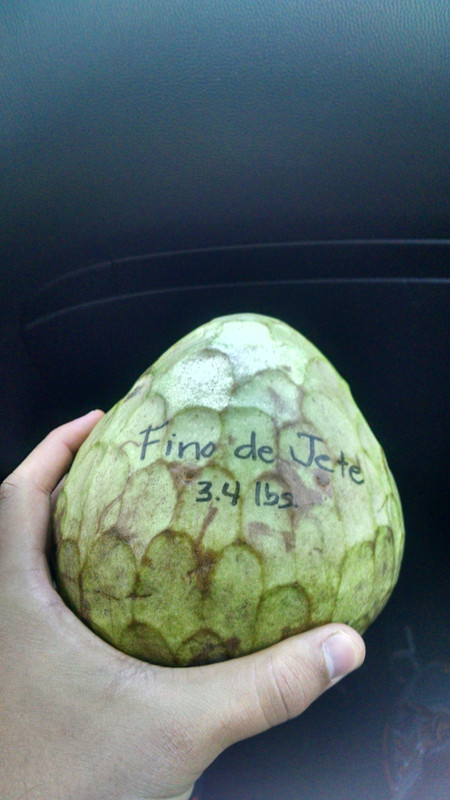 14788034797341280569276