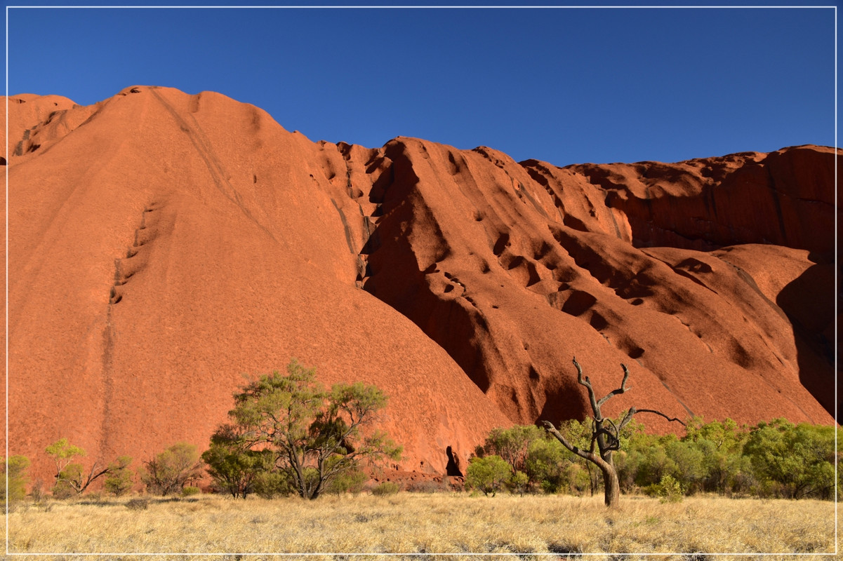 Red Center - Australia (I): toma de contacto (6)