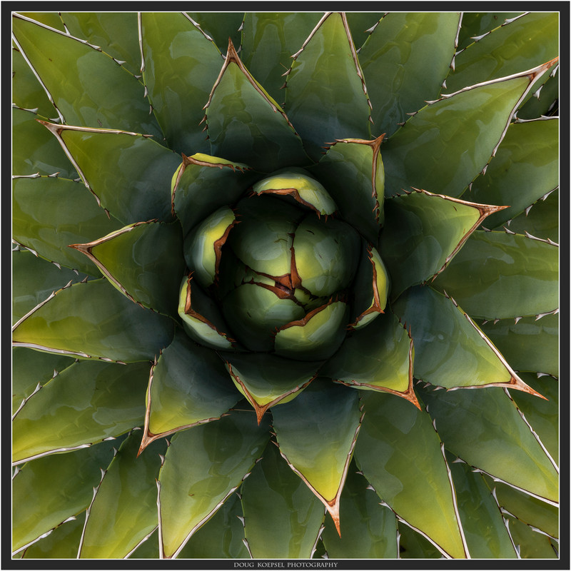 Ed1600-1x1NavajoRez7-14-18_0087